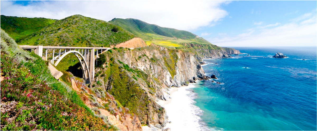 Cruising Down the Pacific Coast Highway 